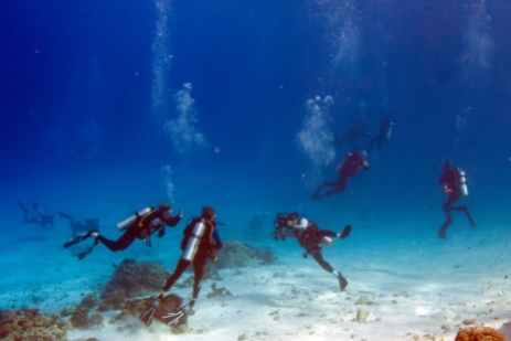 17.03.06 Diving, Maldives (121)