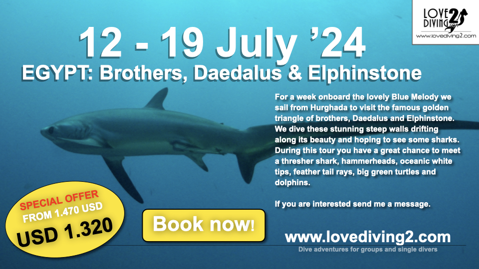12-19 Juli 2024: Brothers, Daedalus & Elphinstone (from 1.470) for only 1.220 USD