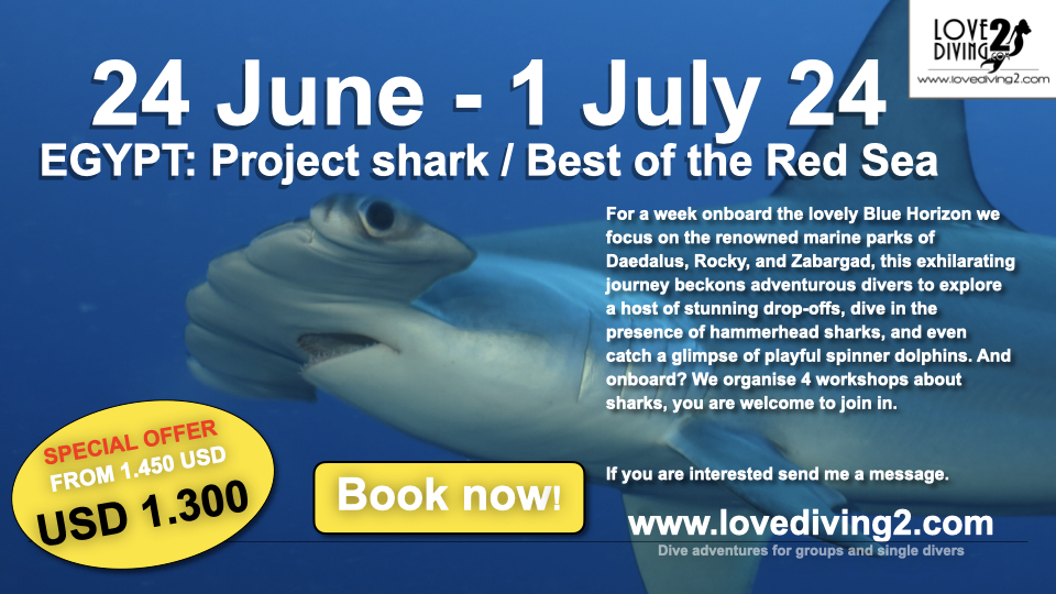 24 June – 1 July 2: Project shark / Best of the Red Sea (From 1450 USD) now for only 1300 USD