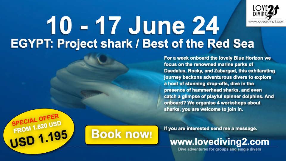 10 – 17 June 24: Project shark / Best of the Red Sea From 1620 USD now the last bed for 1.195 USD only