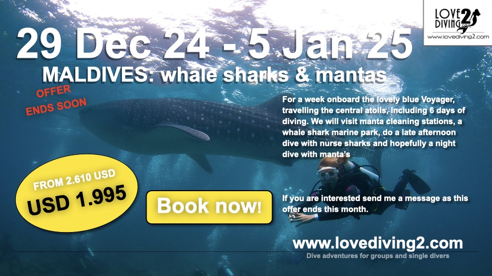 29 Dec 24 – 5 Jan 25: MALDIVES: Central Atolls SPECIAL OFFER (April only) from 2610 USD for only 1995 USD