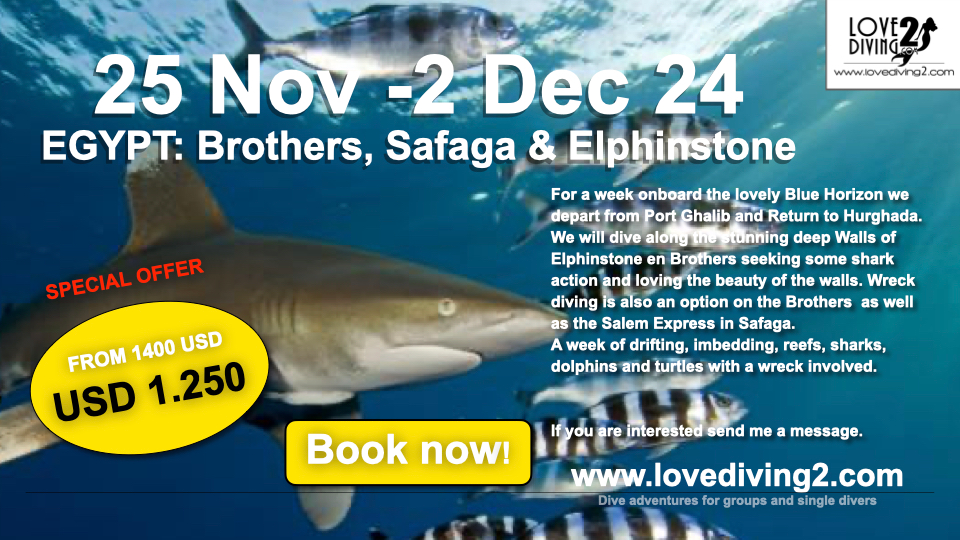 25 Nov -2 Dec 2: EGYPT: Brothers, Safaga & Elphinstone OUR OFFER 1250 USD Only (From 1400 USD)