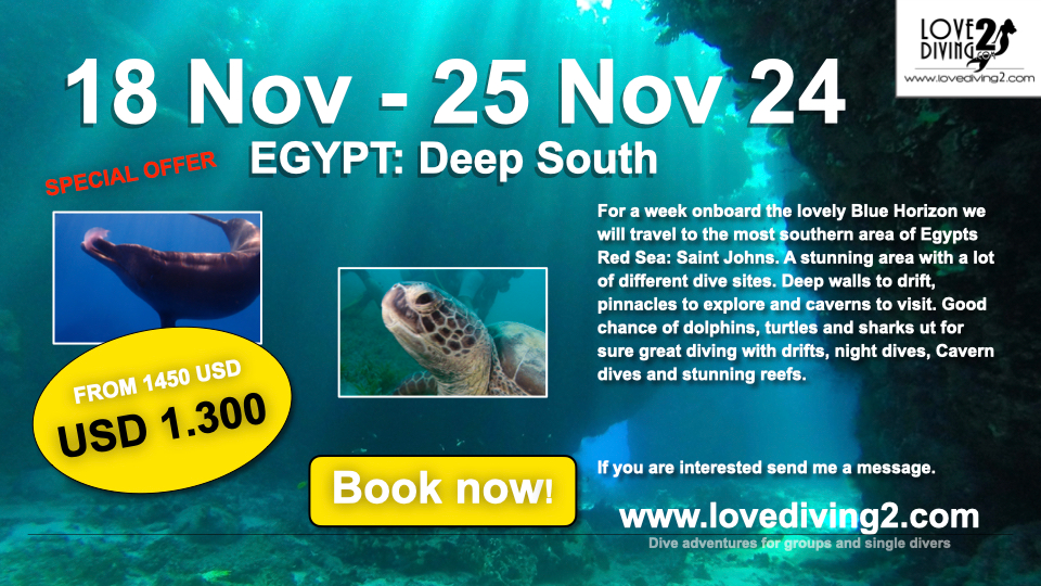 18 – 25 Nov Egypt: deep soutH a.k.a. Saint Johns Offering for 1300 USD only (from 1450)